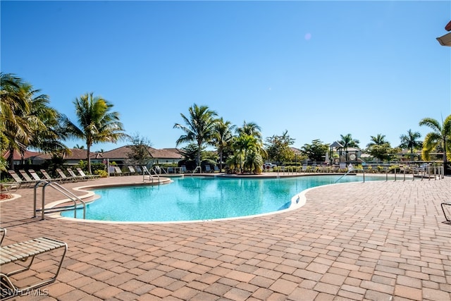 view of pool featuring a patio area