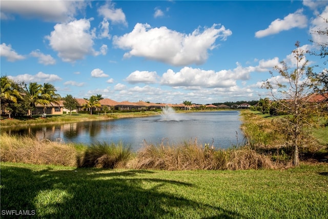 water view