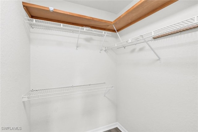 view of spacious closet