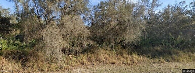 2720 N Brandon Rd, Avon Park FL, 33825 land for sale