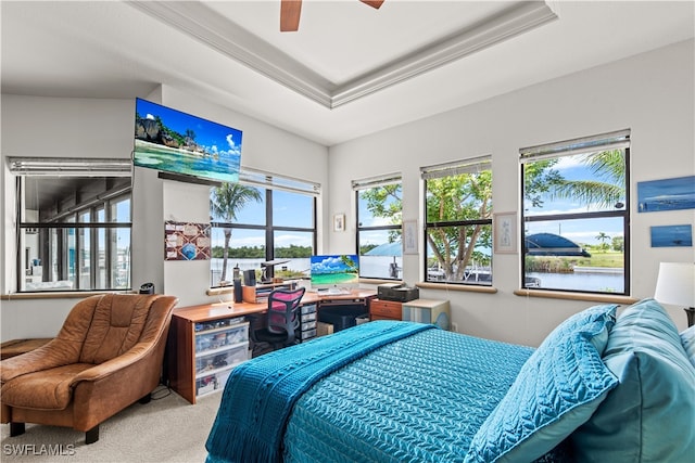 bedroom featuring ceiling fan, carpet flooring, and a raised ceiling