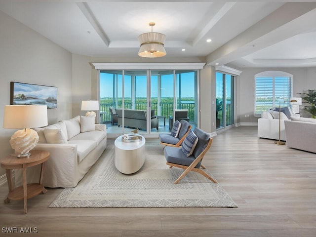 living room with light hardwood / wood-style flooring and a raised ceiling