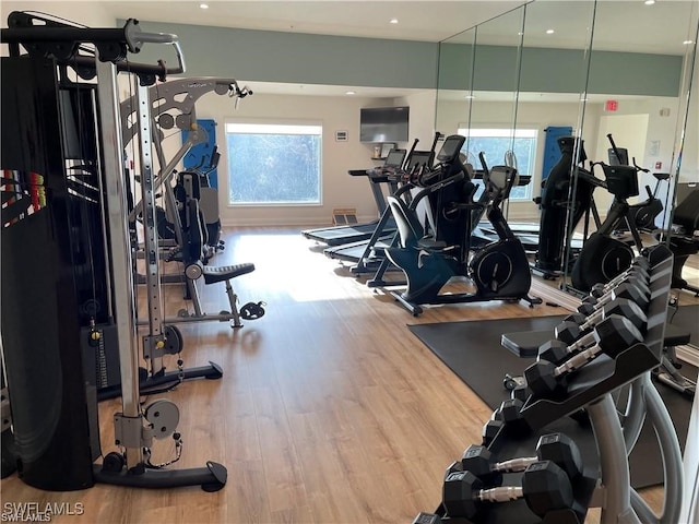 workout area featuring hardwood / wood-style floors