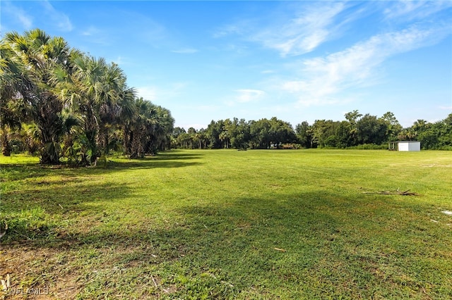 view of yard featuring a rural view and a storage shed