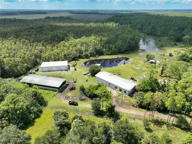 17800 Grand Chenier Rd, Fort Myers, FL 33913 - bird's eye view of a forest and a large body of water