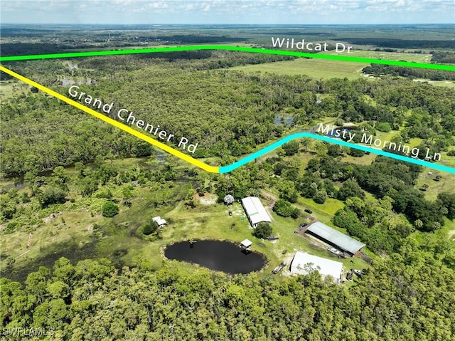 17800 Grand Chenier Rd, Fort Myers, FL 33913 - aerial overview of property's location with property parcel outlined and a forest