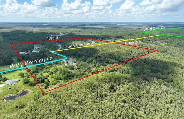 17800 Grand Chenier Rd, Fort Myers, FL 33913 - aerial view of property and surrounding area with a heavily wooded area and property boundaries highlighted