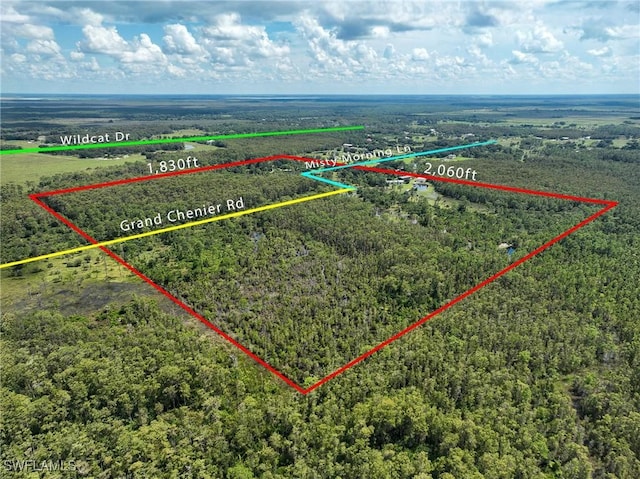 17800 Grand Chenier Rd, Fort Myers, FL 33913 - bird's eye view of a forest