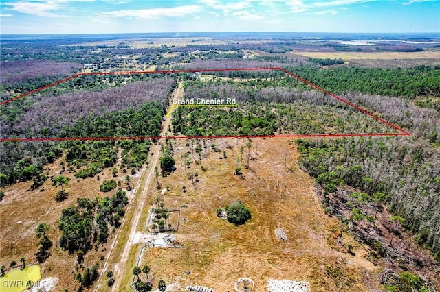 17800 Grand Chenier Rd, Fort Myers, FL 33913 - overview of rural landscape with property boundaries highlighted