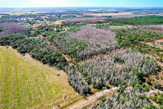 17800 Grand Chenier Rd, Fort Myers, FL 33913 - view of rural area featuring property boundaries highlighted