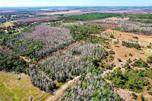 17800 Grand Chenier Rd, Fort Myers, FL 33913 - overview of rural landscape featuring property boundaries highlighted