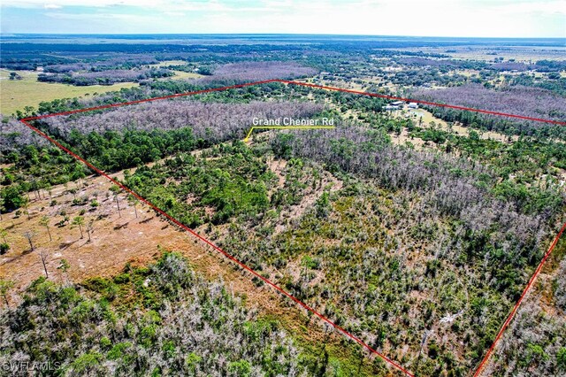 aerial view