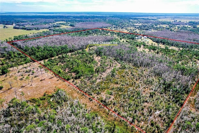 17800 Grand Chenier Rd, Fort Myers, FL 33913 - view of rural area featuring property parcel outlined