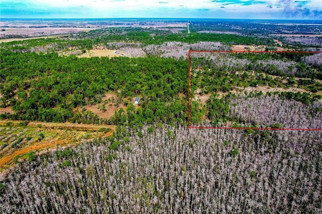 17800 Grand Chenier Rd, Fort Myers, FL 33913 - aerial overview of property's location with property parcel outlined