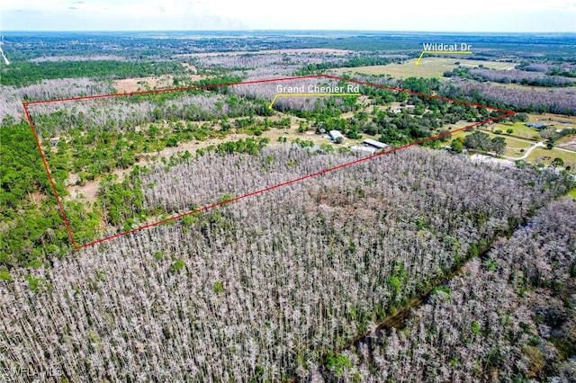 17800 Grand Chenier Rd, Fort Myers, FL 33913 - overview of rural landscape featuring property boundaries highlighted