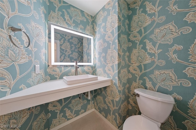 bathroom with sink and toilet