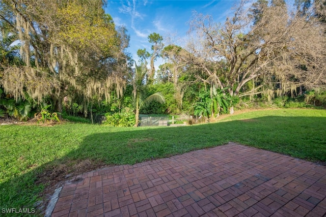 view of yard featuring a patio