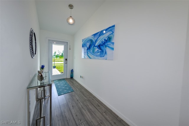 entryway featuring vaulted ceiling and dark hardwood / wood-style floors