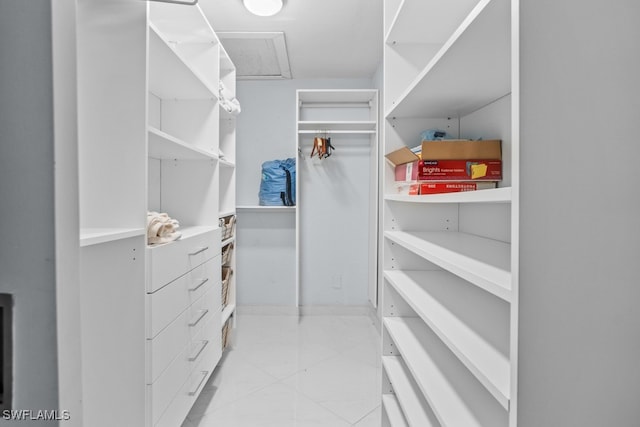 view of spacious closet