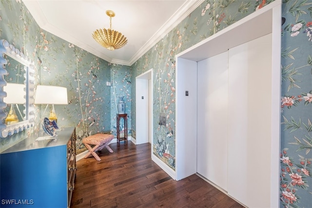 corridor with crown molding and dark hardwood / wood-style floors