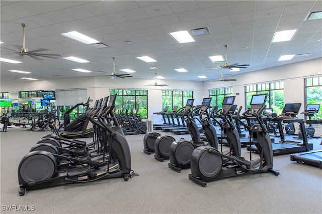 workout area featuring carpet, a paneled ceiling, and a healthy amount of sunlight