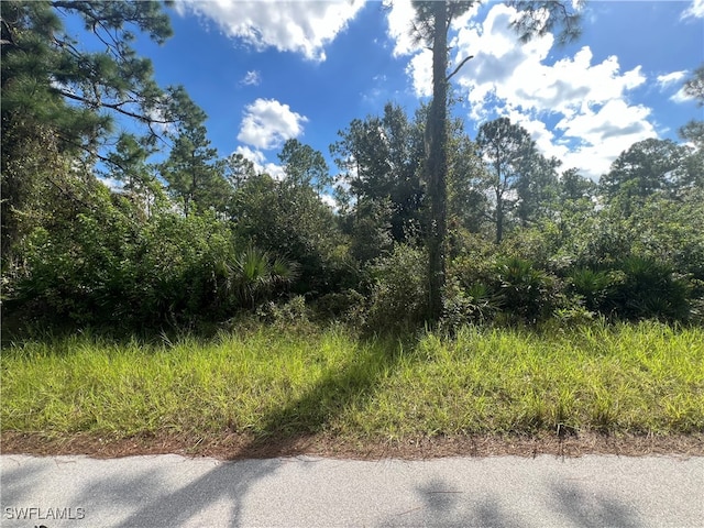 1010 Monroe Ave, Lehigh Acres FL, 33972 land for sale