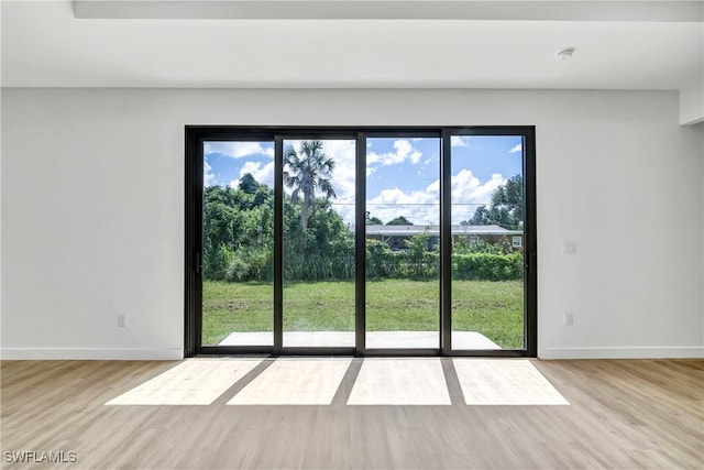 unfurnished room with light hardwood / wood-style flooring