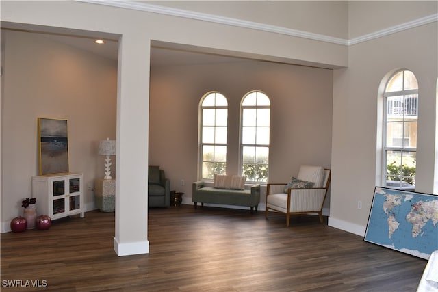 sitting room with crown molding and dark wood-type flooring