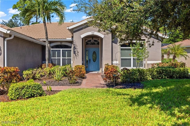 view of exterior entry featuring a tile roof, a lawn, and stucco siding