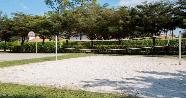 surrounding community featuring volleyball court