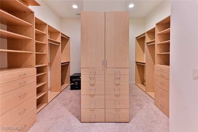 spacious closet featuring light carpet