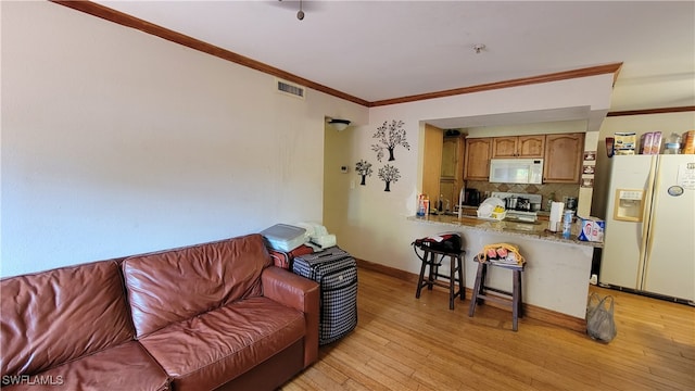 living room featuring light wood-type flooring and crown molding