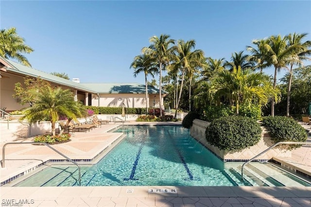 view of pool featuring a patio area