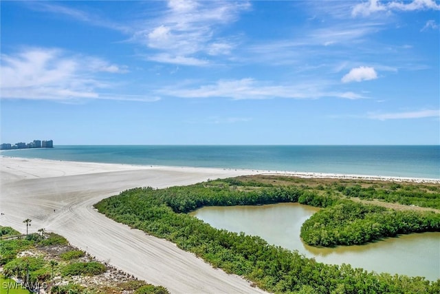 property view of water featuring a beach view