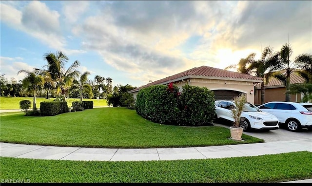 11599 Meadowrun Cir, Fort Myers, FL 33913 - view of home's exterior featuring a garage, concrete driveway, a lawn, a tile roof, and stucco siding