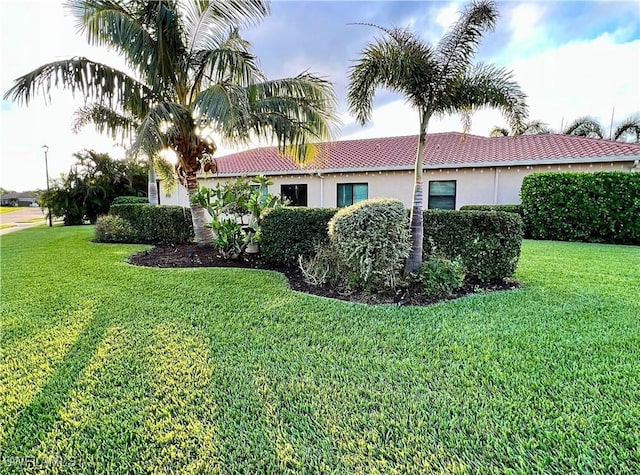 11599 Meadowrun Cir, Fort Myers, FL 33913 - view of side of home with a yard and stucco siding