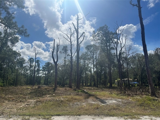 Listing photo 3 for 712 Woodland Blvd, Clewiston FL 33440