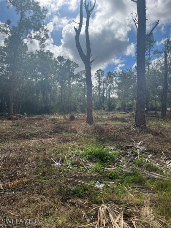 712 Woodland Blvd, Clewiston FL, 33440 land for sale