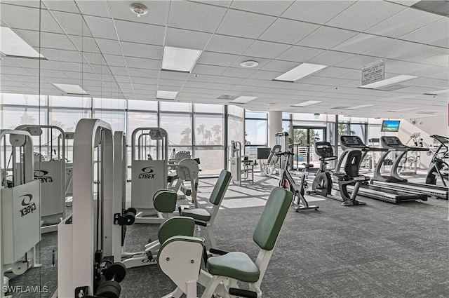 gym featuring a paneled ceiling, carpet, and a wall of windows