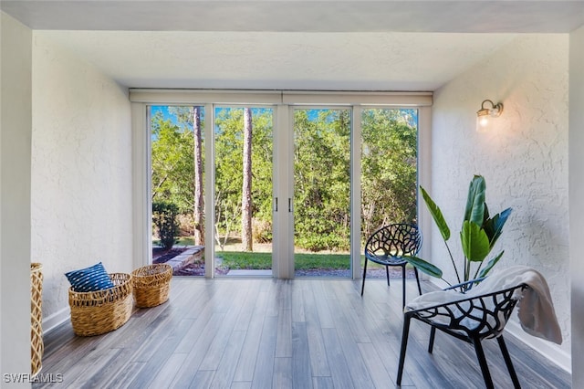 doorway featuring a wall of windows and hardwood / wood-style floors