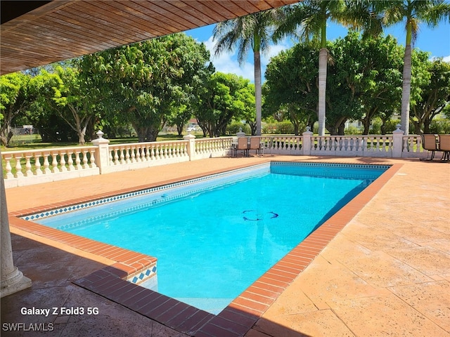 view of swimming pool with a patio area