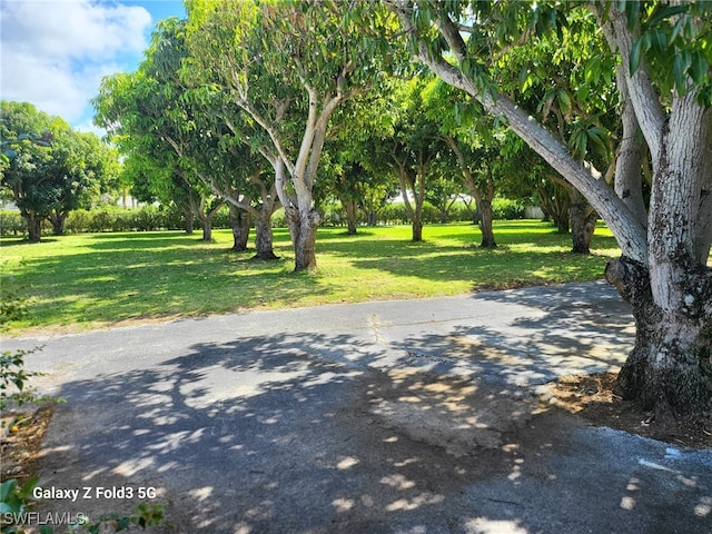 exterior space with a lawn