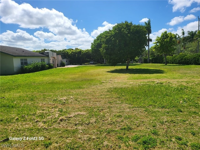 view of yard