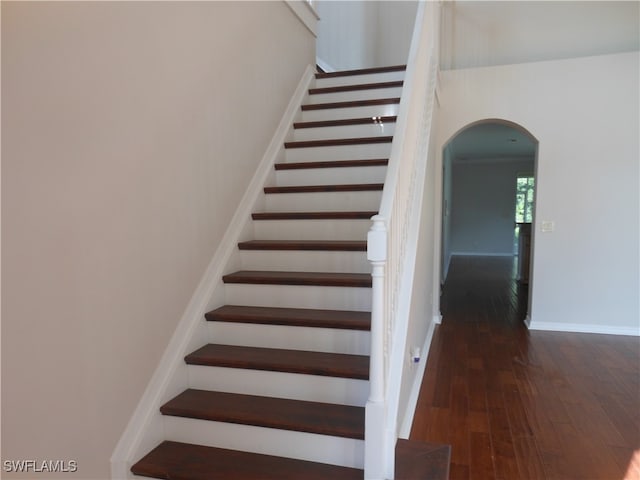 staircase with hardwood / wood-style floors