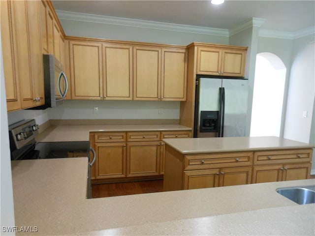 kitchen featuring stainless steel appliances, light brown cabinets, and crown molding