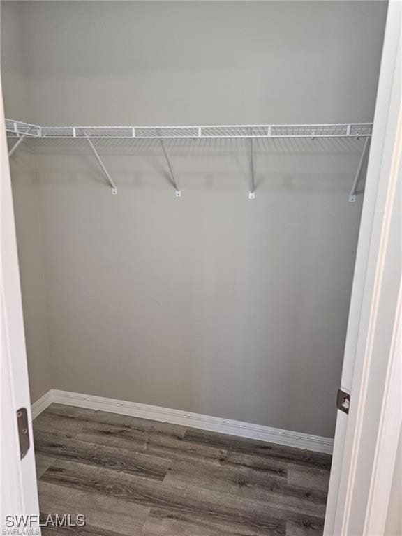 walk in closet with dark wood-type flooring