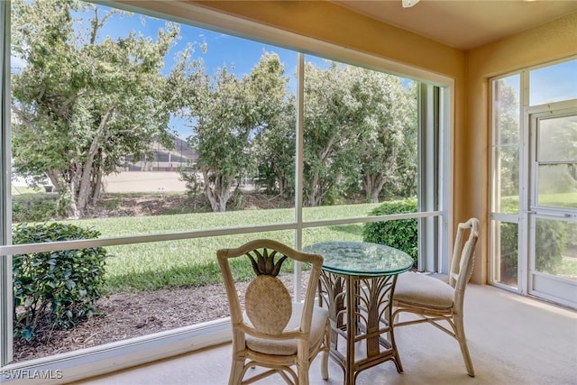 sunroom with carpet