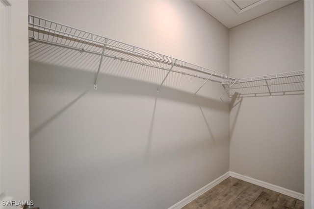 spacious closet with hardwood / wood-style flooring