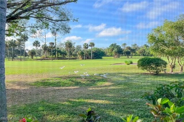 view of community with a yard