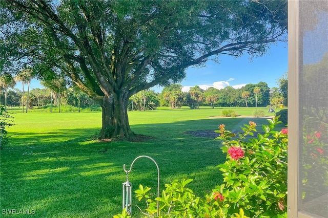 view of property's community featuring a lawn